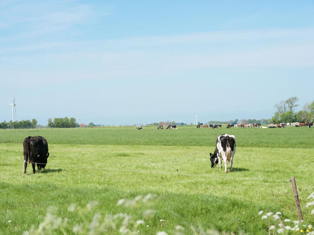 Charming House In Easterlittens On A Frisian Farm Wommels Экстерьер фото